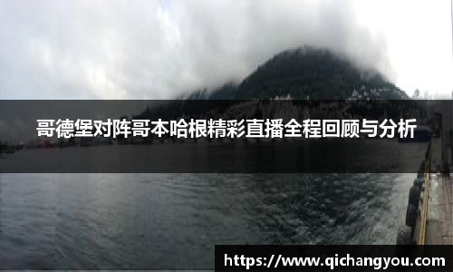 哥德堡对阵哥本哈根精彩直播全程回顾与分析